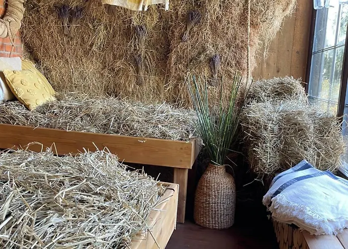 Osrodek Wypoczynkowy Lesniczowka & Elias Rezort Istebna